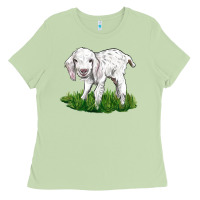 Matcha Baby Angora Goat Ladies Tee - LillyAllenDesigns