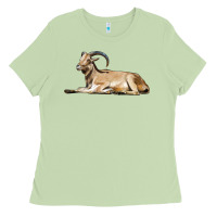 Matcha Spanish Goat Ladies Tee - LillyAllenDesigns