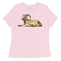 Bubblegum Pink Spanish Goat Ladies Tee - LillyAllenDesigns
