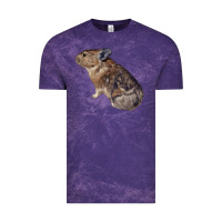 Cloud Purple pika Vintage Tee - LillyAllenDesigns