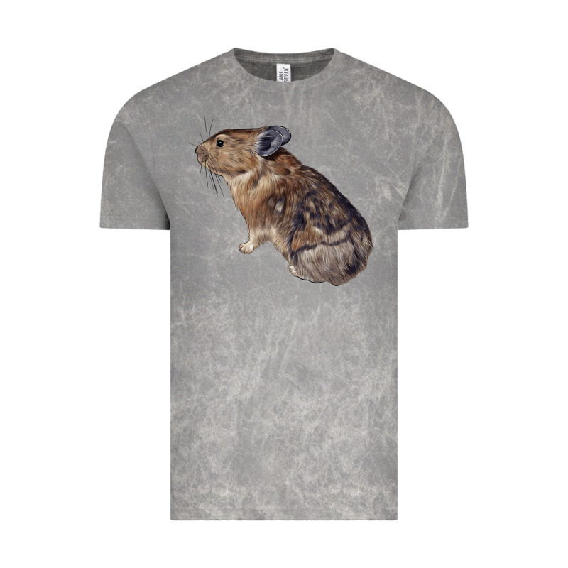 Pika Vintage Tee by LillyAllenDesigns | Teevron