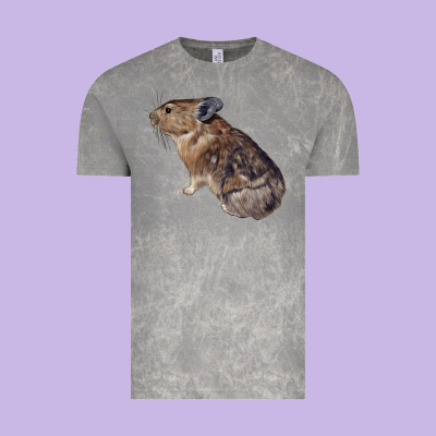 Pika Vintage Tee Designed By Lillyallendesigns
