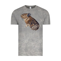 Cloud Rock pika Vintage Tee - LillyAllenDesigns