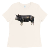 Bone berkshire pig Ladies Tee - LillyAllenDesigns