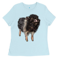 Baby Blue Baby Hampshire Pig Ladies Tee - LillyAllenDesigns