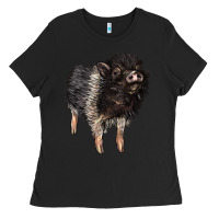 Black Baby Hampshire Pig Ladies Tee - LillyAllenDesigns
