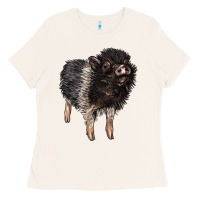 Bone Baby Hampshire Pig Ladies Tee - LillyAllenDesigns