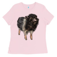 Bubblegum Pink Baby Hampshire Pig Ladies Tee - LillyAllenDesigns
