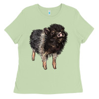 Matcha Baby Hampshire Pig Ladies Tee - LillyAllenDesigns