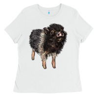 White Baby Hampshire Pig Ladies Tee - LillyAllenDesigns