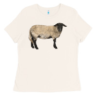 Bone Suffolk Sheep Ladies Tee - LillyAllenDesigns