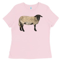Bubblegum Pink Suffolk Sheep Ladies Tee - LillyAllenDesigns