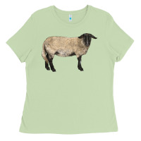 Matcha Suffolk Sheep Ladies Tee - LillyAllenDesigns