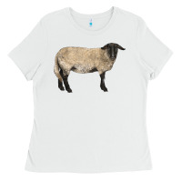 White Suffolk Sheep Ladies Tee - LillyAllenDesigns