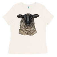 Bone Suffolk Sheep Head Ladies Tee - LillyAllenDesigns