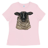 Suffolk Sheep Head Ladies Tee | Teevron
