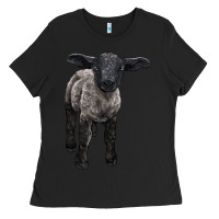 Black suffolk baby sheep Ladies Tee - LillyAllenDesigns