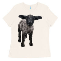 Bone suffolk baby sheep Ladies Tee - LillyAllenDesigns