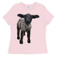 Bubblegum Pink suffolk baby sheep Ladies Tee - LillyAllenDesigns