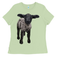 Matcha suffolk baby sheep Ladies Tee - LillyAllenDesigns