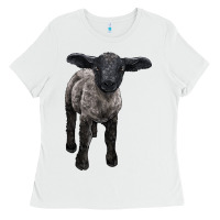 White suffolk baby sheep Ladies Tee - LillyAllenDesigns