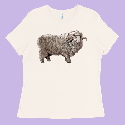 Rambouillet Sheep Ladies Tee Designed By Lillyallendesigns