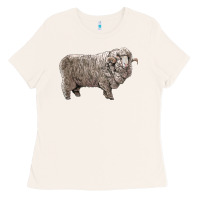 Bone rambouillet sheep Ladies Tee - LillyAllenDesigns