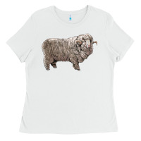 White rambouillet sheep Ladies Tee - LillyAllenDesigns
