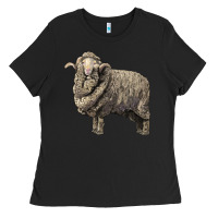 Black merino wool sheep Ladies Tee - LillyAllenDesigns