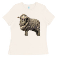 Bone merino wool sheep Ladies Tee - LillyAllenDesigns