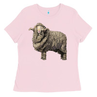 Bubblegum Pink merino wool sheep Ladies Tee - LillyAllenDesigns