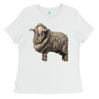 White merino wool sheep Ladies Tee - LillyAllenDesigns