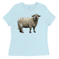 Baby Blue hampshire sheep Ladies Tee - LillyAllenDesigns