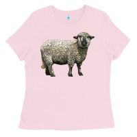 Bubblegum Pink hampshire sheep Ladies Tee - LillyAllenDesigns