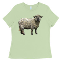 Matcha hampshire sheep Ladies Tee - LillyAllenDesigns