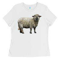 White hampshire sheep Ladies Tee - LillyAllenDesigns