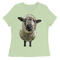 Matcha hampshire sheep head Ladies Tee - LillyAllenDesigns