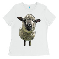 White hampshire sheep head Ladies Tee - LillyAllenDesigns