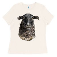 Bone dorper sheep head Ladies Tee - LillyAllenDesigns