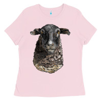 Bubblegum Pink dorper sheep head Ladies Tee - LillyAllenDesigns