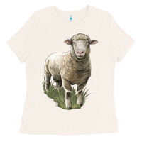 Bone dorset sheep Ladies Tee - LillyAllenDesigns