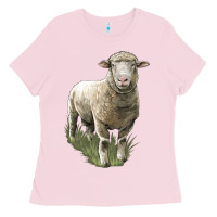 Bubblegum Pink dorset sheep Ladies Tee - LillyAllenDesigns