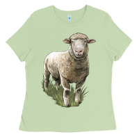 Matcha dorset sheep Ladies Tee - LillyAllenDesigns