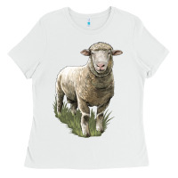 White dorset sheep Ladies Tee - LillyAllenDesigns