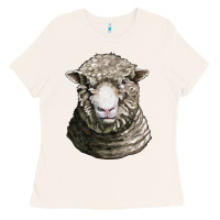 Bone dorset sheep head Ladies Tee - LillyAllenDesigns