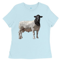 Baby Blue dorper sheep Ladies Tee - LillyAllenDesigns
