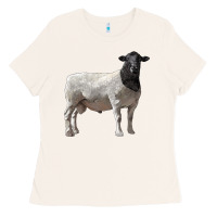 Bone dorper sheep Ladies Tee - LillyAllenDesigns
