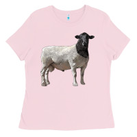 Bubblegum Pink dorper sheep Ladies Tee - LillyAllenDesigns