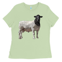 Matcha dorper sheep Ladies Tee - LillyAllenDesigns