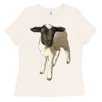 Bone dorper baby sheep Ladies Tee - LillyAllenDesigns